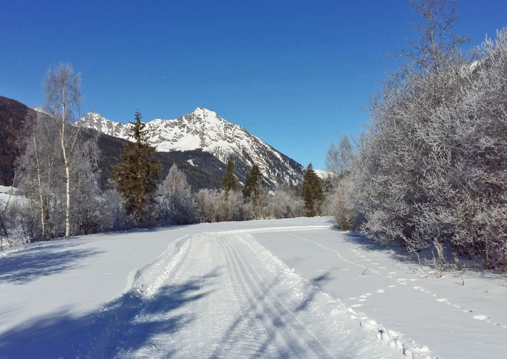 Langlaufen im Lungau