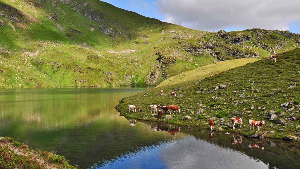 Oberer Schönalmsee