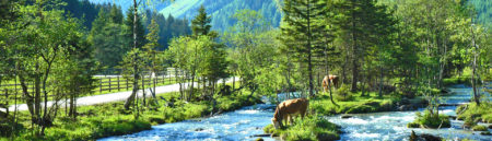 Wandern Longa