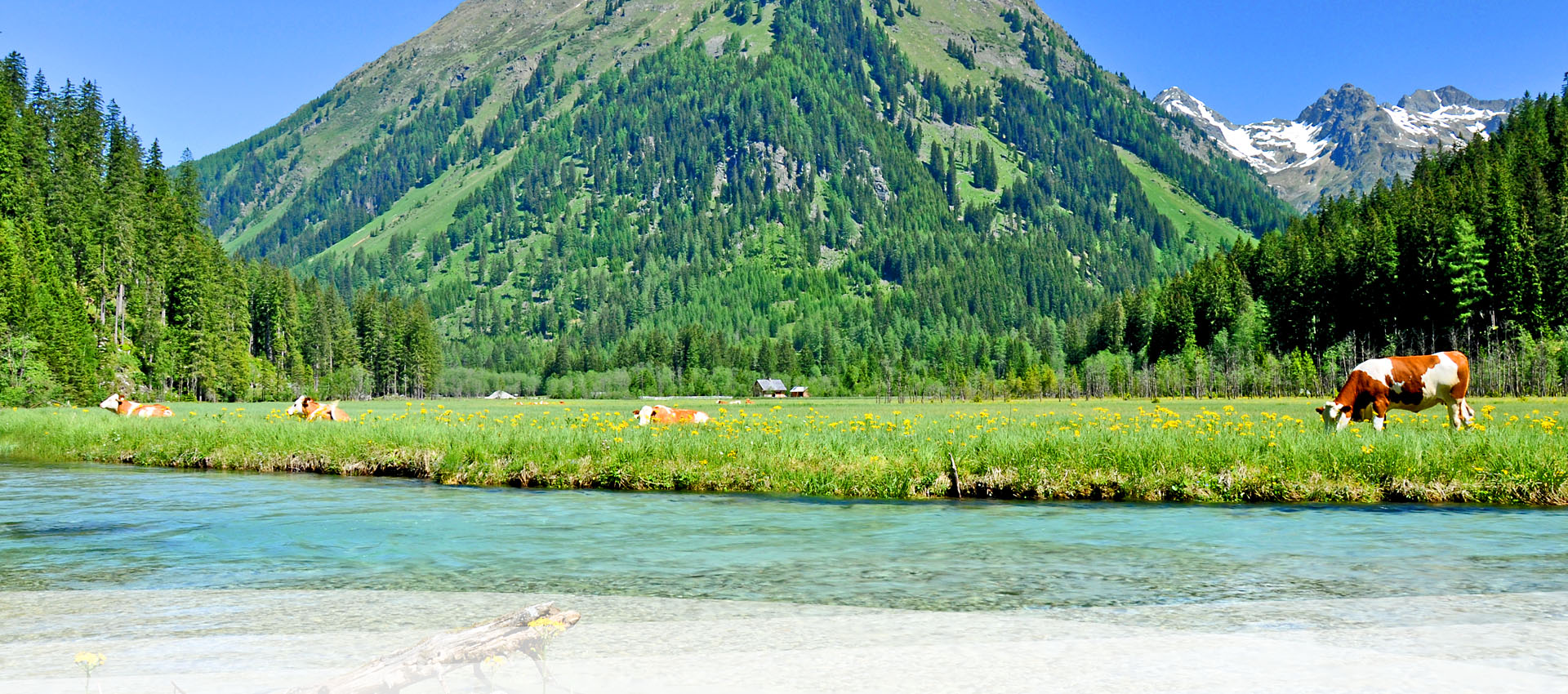 Sommerulaub in Weißpriach im Lungau